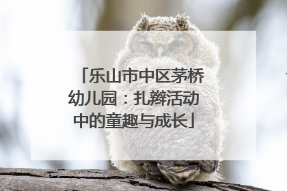 乐山市中区茅桥幼儿园：扎辫活动中的童趣与成长