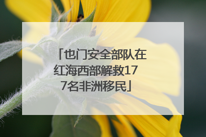 也门安全部队在红海西部解救177名非洲移民