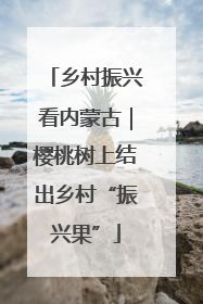 乡村振兴看内蒙古｜樱桃树上结出乡村“振兴果”