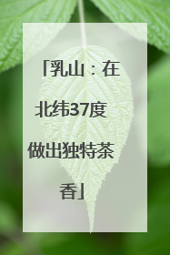 乳山：在北纬37度做出独特茶香