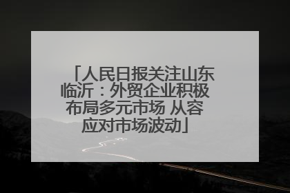人民日报关注山东临沂：外贸企业积极布局多元市场 从容应对市场波动