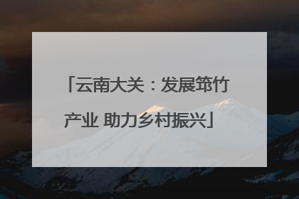 云南大关：发展筇竹产业 助力乡村振兴