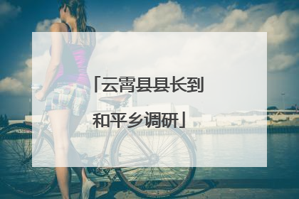 云霄县县长到和平乡调研