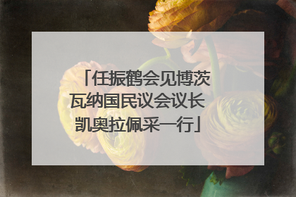任振鹤会见博茨瓦纳国民议会议长凯奥拉佩采一行