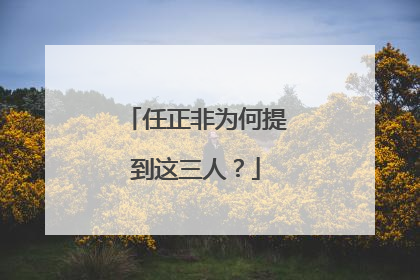 任正非为何提到这三人？