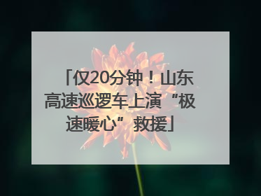 仅20分钟！山东高速巡逻车上演“极速暖心”救援