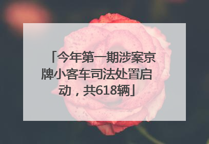 今年第一期涉案京牌小客车司法处置启动，共618辆