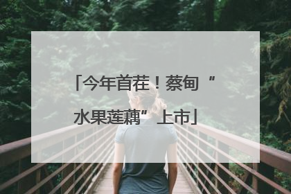 今年首茬！蔡甸“水果莲藕”上市