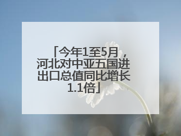 今年1至5月,河北对中亚五国进出口总值同比增长1.1倍