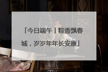 今日端午丨粽香飘春城，岁岁年年长安康