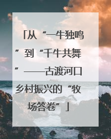 从“一牛独鸣”到“千牛共舞”——古渡河口乡村振兴的“牧场答卷”