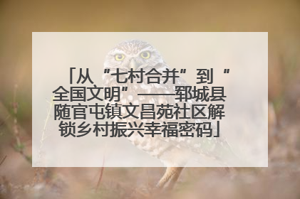 从“七村合并”到“全国文明”——郓城县随官屯镇文昌苑社区解锁乡村振兴幸福密码