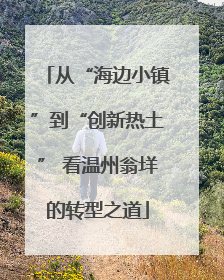 从“海边小镇”到“创新热土” 看温州翁垟的转型之道