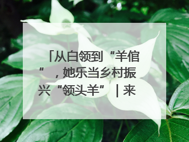 从白领到“羊倌”，她乐当乡村振兴“领头羊”｜来长沙 创未来