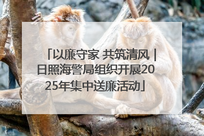以廉守家 共筑清风｜日照海警局组织开展2025年集中送廉活动