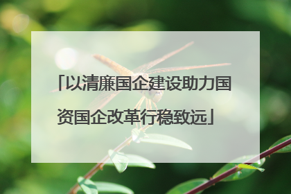 以清廉国企建设助力国资国企改革行稳致远