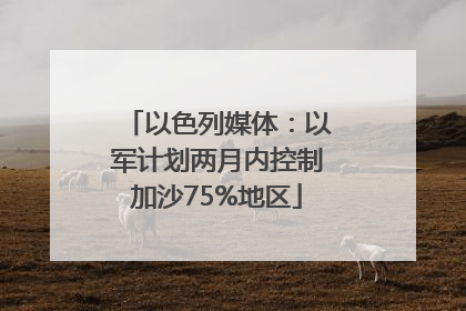 以色列媒体：以军计划两月内控制加沙75%地区