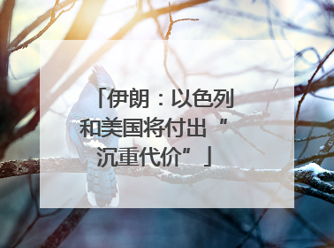 伊朗：以色列和美国将付出“沉重代价”