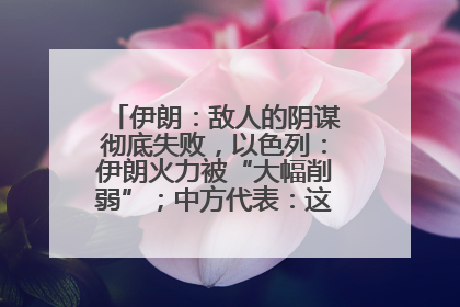 伊朗：敌人的阴谋彻底失败，以色列：伊朗火力被“大幅削弱”；中方代表：这次不能再有欺骗