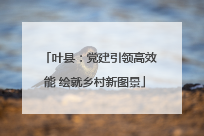 叶县：党建引领高效能 绘就乡村新图景