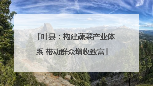 叶县：构建蔬菜产业体系 带动群众增收致富