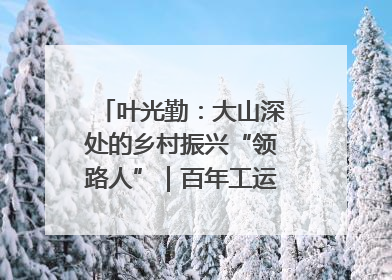 叶光勤：大山深处的乡村振兴“领路人”｜百年工运·劳模说
