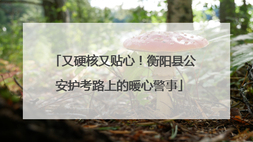 又硬核又贴心！衡阳县公安护考路上的暖心警事