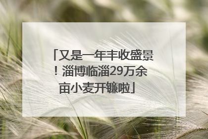 又是一年丰收盛景！淄博临淄29万余亩小麦开镰啦