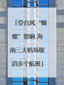 受台风“蝴蝶”影响 海南三大机场取消多个航班