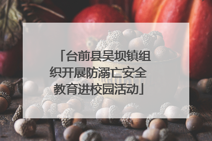 台前县吴坝镇组织开展防溺亡安全教育进校园活动