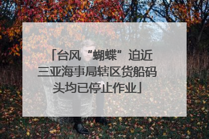 台风“蝴蝶”迫近 三亚海事局辖区货船码头均已停止作业
