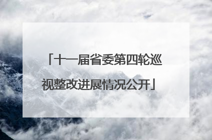 十一届省委第四轮巡视整改进展情况公开