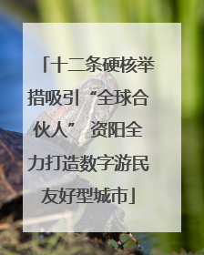 十二条硬核举措吸引“全球合伙人” 资阳全力打造数字游民友好型城市
