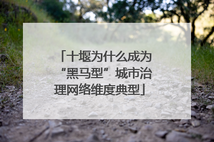 十堰为什么成为“黑马型”城市治理网络维度典型
