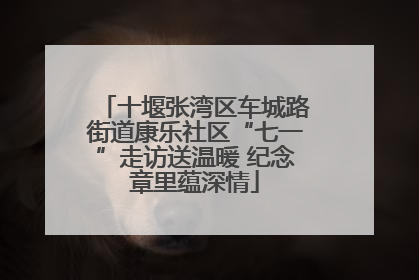 十堰张湾区车城路街道康乐社区“七一”走访送温暖 纪念章里蕴深情