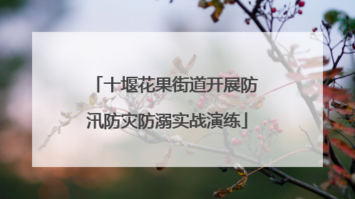 十堰花果街道开展防汛防灾防溺实战演练