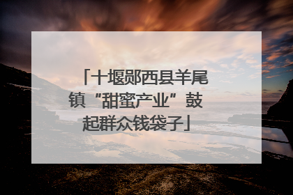 十堰郧西县羊尾镇“甜蜜产业”鼓起群众钱袋子