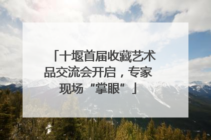 十堰首届收藏艺术品交流会开启，专家现场“掌眼”