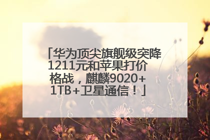 华为顶尖旗舰级突降1211元和苹果打价格战，麒麟9020+1TB+卫星通信！