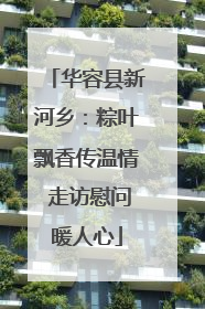 华容县新河乡：粽叶飘香传温情 走访慰问暖人心