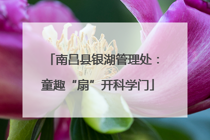 南昌县银湖管理处：童趣“扇”开科学门