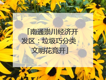 南通崇川经济开发区：垃圾巧分类 文明花竞开