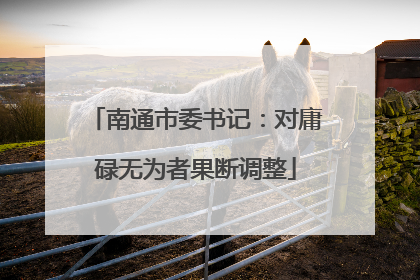 南通市委书记：对庸碌无为者果断调整