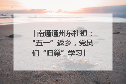 南通通州东社镇：“五一”返乡，党员们“归巢”学习
