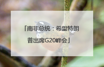 南非总统：希望特朗普出席G20峰会
