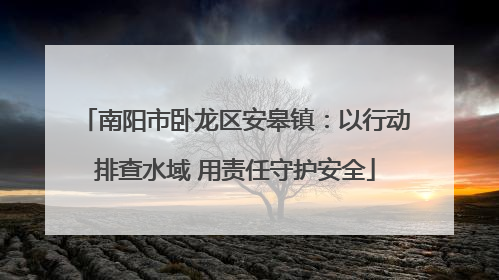 南阳市卧龙区安皋镇：以行动排查水域 用责任守护安全