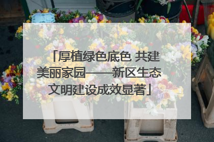 厚植绿色底色 共建美丽家园——新区生态文明建设成效显著
