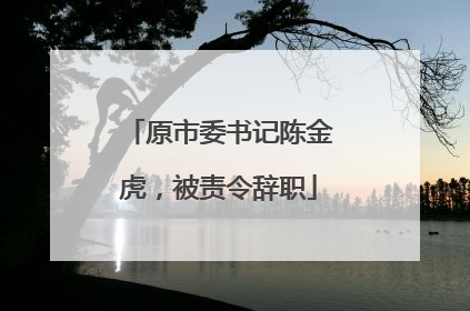 原市委书记陈金虎，被责令辞职
