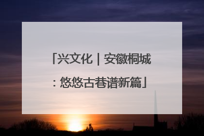 兴文化｜安徽桐城：悠悠古巷谱新篇