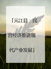元江县：民营经济推进现代产业发展